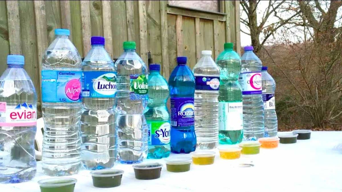 eau en bouteille voici la marque la plus saine selon les experts, avec presque zéro microplastiques