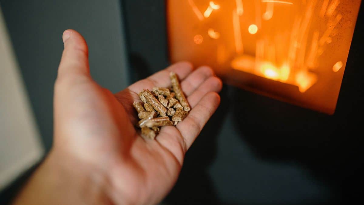la decision est tombee le chauffage au bois pellets buches plaquettes interdit en france a partir de cette date