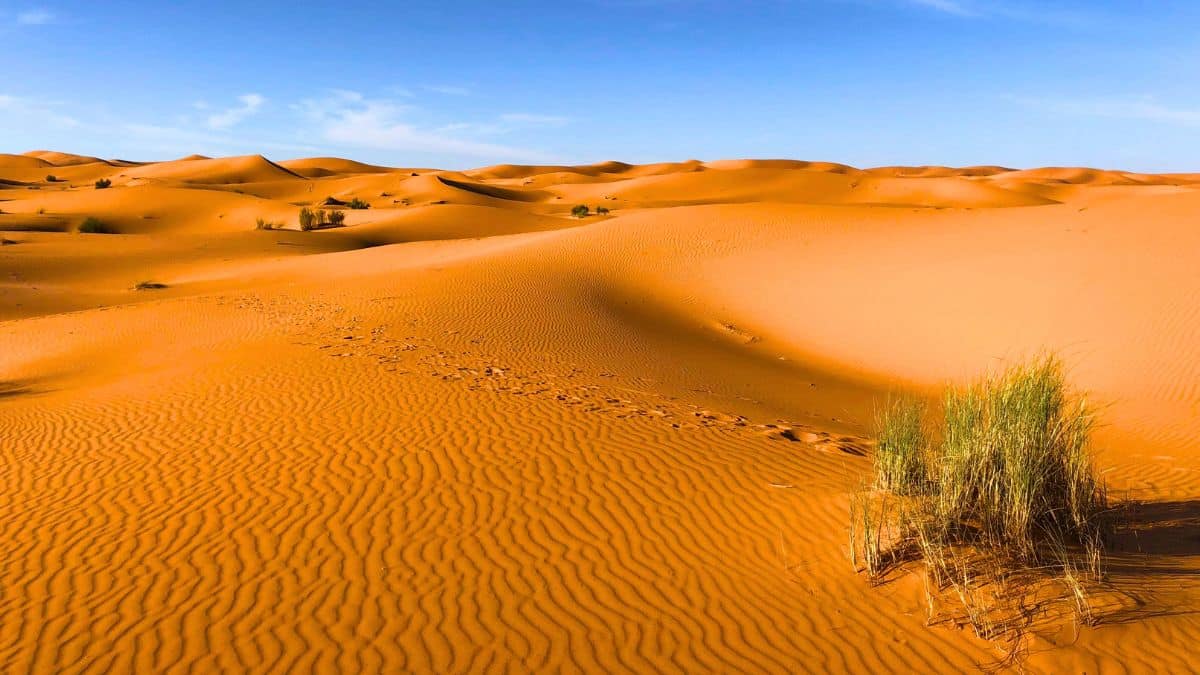 le sable tombe du sahara en france etait radioactif des essais nucleaires meconnus refont surface