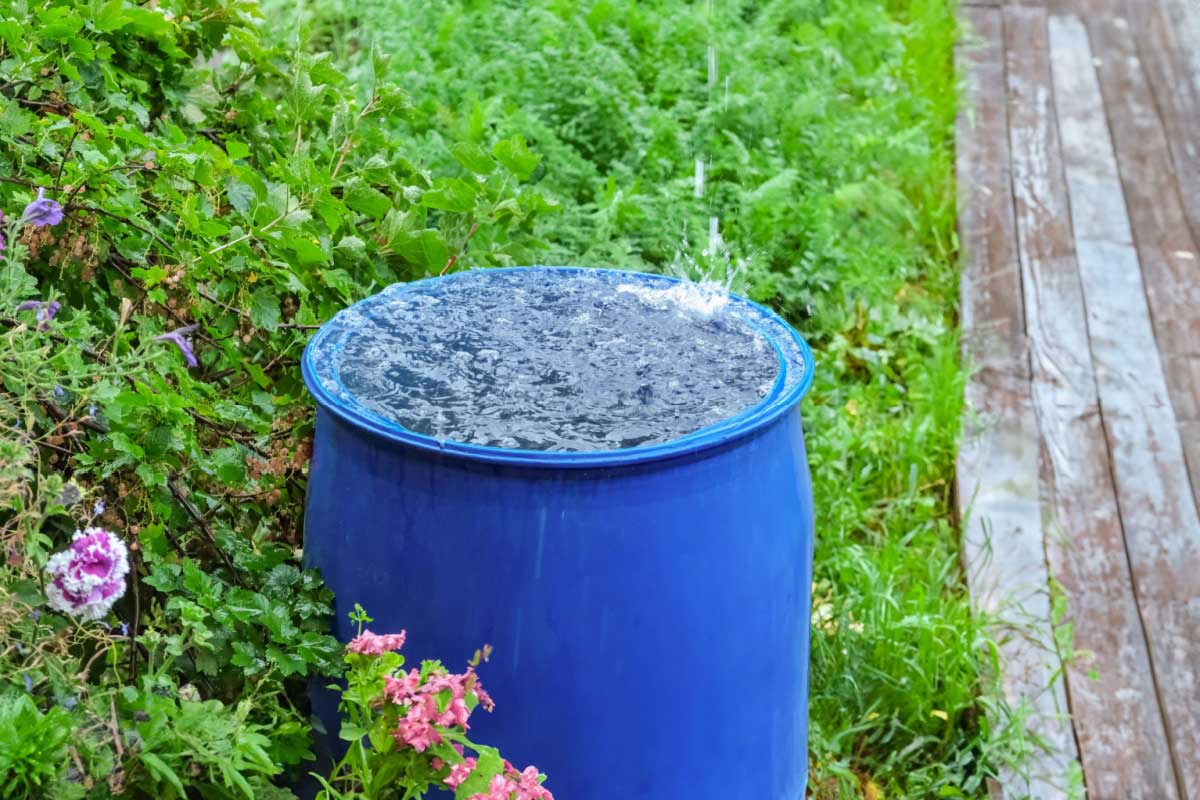 recuperateur d'eau de pluie et amende